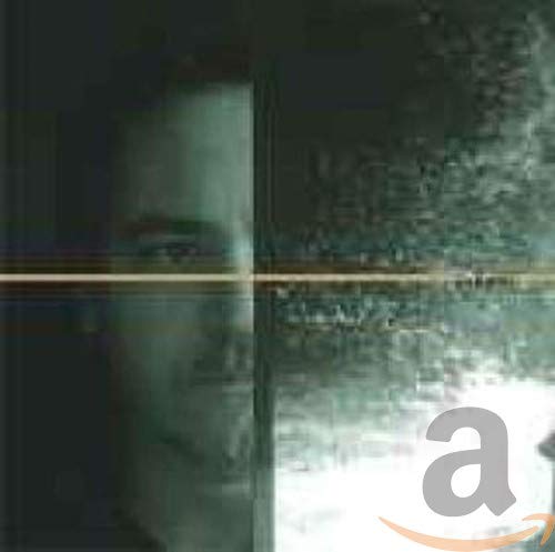 CD cover with a blurred portrait and abstract green textures.