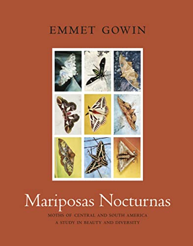 Mariposas Nocturnas: Moths of Central and South America