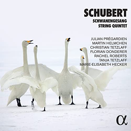 CD cover featuring white swans in a snowy landscape, text “Schubert”.