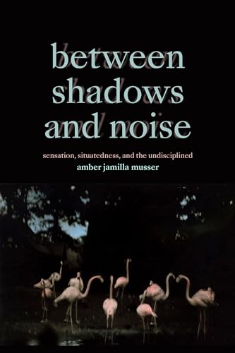 Between Shadows and Noise : Sensation, Situatedness, and the Undisciplined