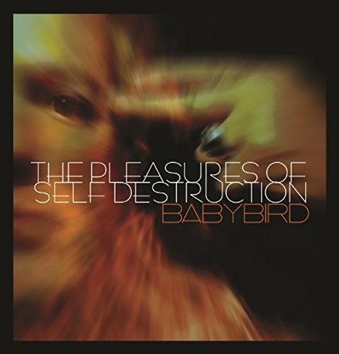 Album cover with blurred, distorted face and text The Pleasures Of Self Destruction Babybird.