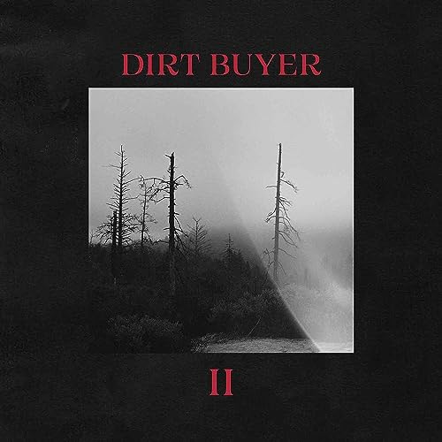 CD cover for "Dirt Buyer II" with a foggy, dark forest scene.
