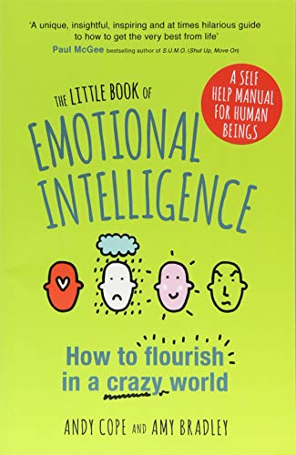 The Little Book of Emotional Intelligence: How to Flourish in a Crazy World