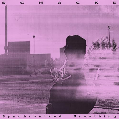 Pink album cover with a blurred figure and industrial landscape.