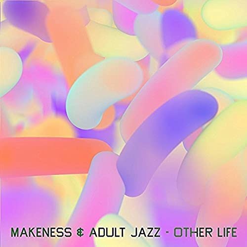 Album cover with abstract colorful shapes and text: "MAKENESS & Adult Jazz.