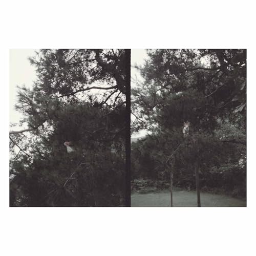 Vinyl record cover with a grayscale image of trees and a figure.