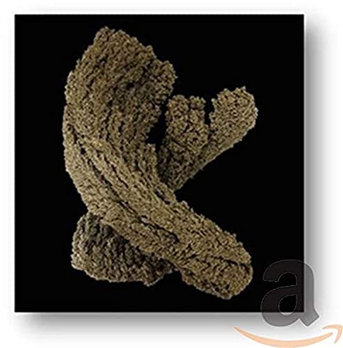 CD cover for Max Cooper’s “Emergence” featuring textured, branching organic form.
