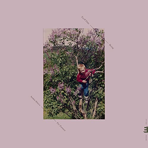 LP album cover with a child climbing a lilac tree.