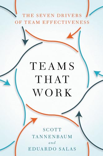 Teams That Work : The Seven Drivers of Team Effectiveness