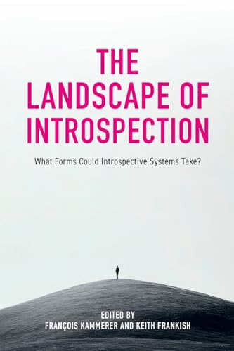 The Landscape of Introspection : What Forms Could Introspective Systems Take?