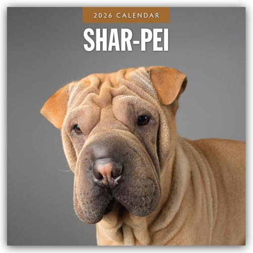 Shar-Pei 2026 Square Wall Calendar
