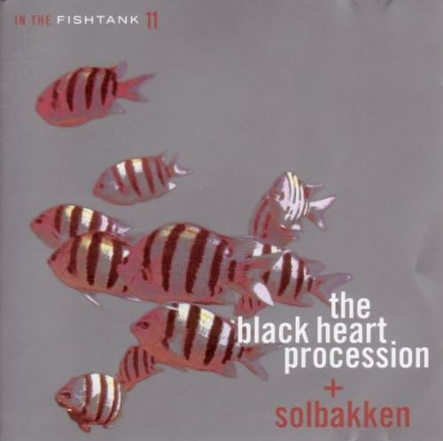 Album cover with red and white striped fish against a gray background.