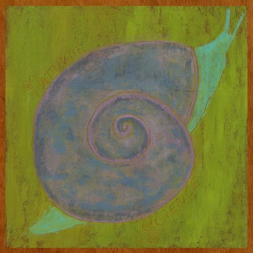 Pastel drawing of a snail shell on a green textured background.
