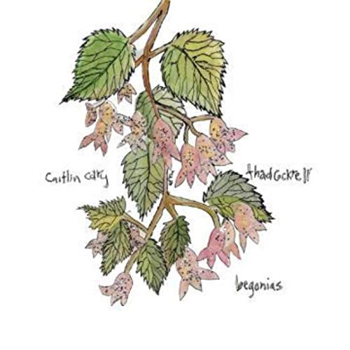 Watercolor illustration of a leafy branch with pink flowers and handwritten artist names.