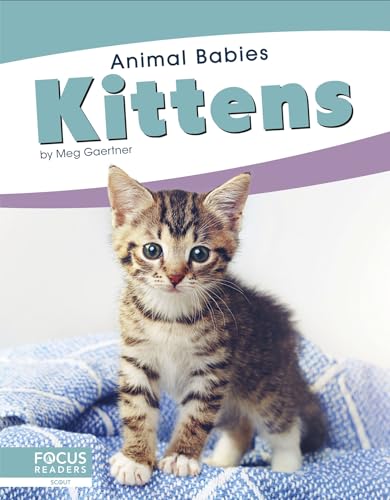 Kittens