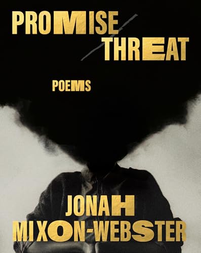 Promise/Threat : Poems