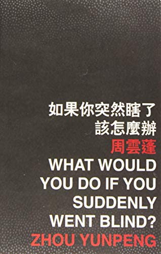 What Would You Do If You Suddenly Went Blind?