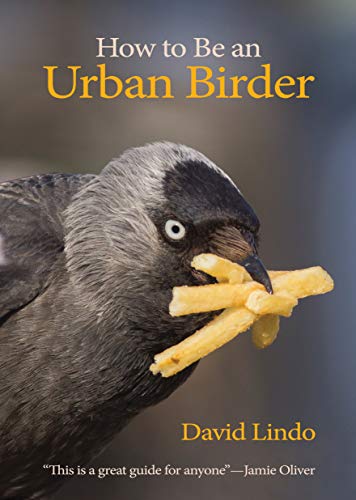 How to Be an Urban Birder (WILDGuides): 13
