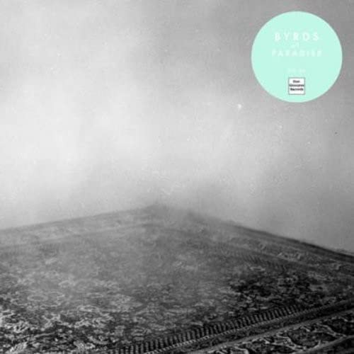 Vinyl record cover with abstract, smoky gray image and teal label.