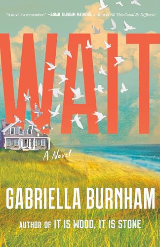 Wait : A Novel