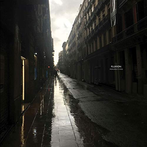 Wet city street between tall buildings, album cover for "Perspectives".