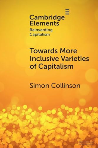 Towards More Inclusive Varieties of Capitalism