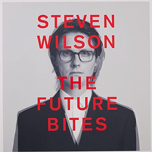 Black and white portrait of Steven Wilson with red text overlay.