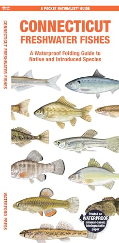 Connecticut Freshwater Fishes : A Folding Guide to Native and Introduced Species