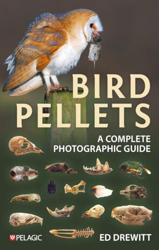 Bird Pellets : A Complete Photographic Guide