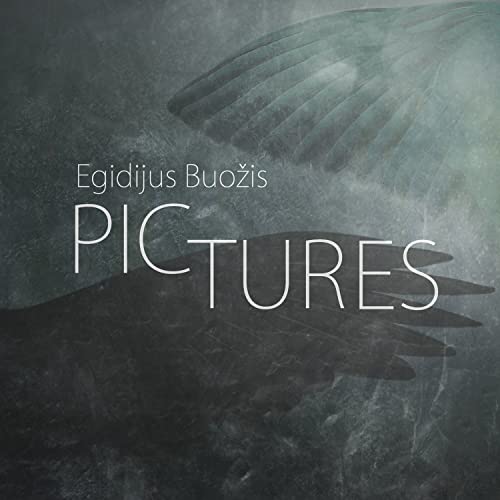 CD cover for "Pictures" by Egidijus Buozis featuring a dark wing.