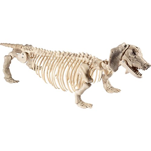 Smiffys Dachshund Dog Skeleton Prop