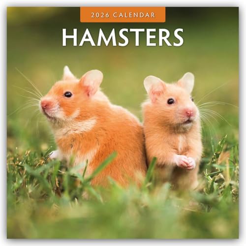 Hamsters 2026 Square Wall Calendar