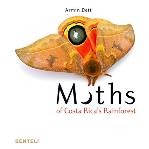 Moths Of Costa Ricas Rainforest