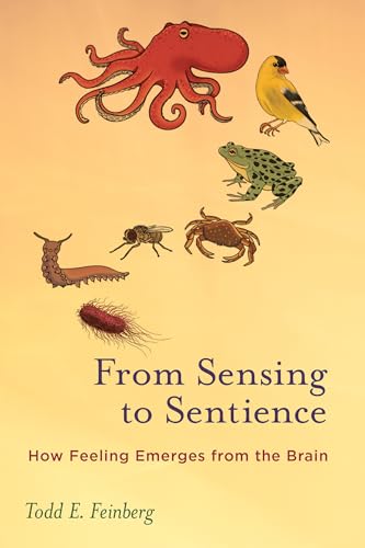 From Sensing to Sentience : How Feeling Emerges from the Brain