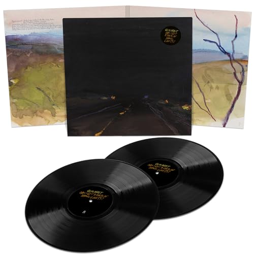 Two black vinyl records with a black jacket featuring a landscape image.