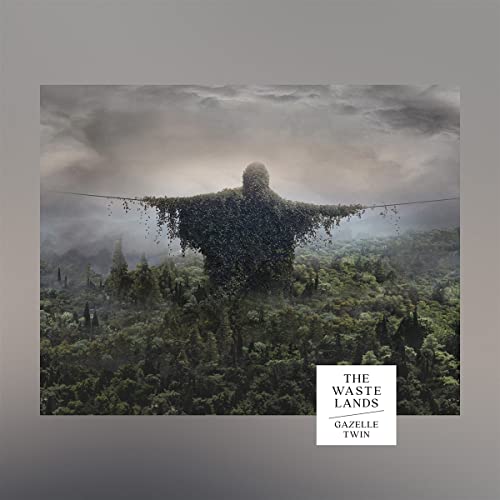 Album cover: figure engulfed in foliage, misty landscape, text “The Wastelands”.