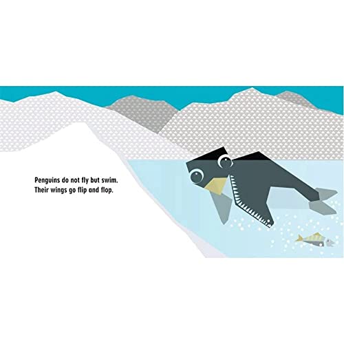 Polar Pack, The