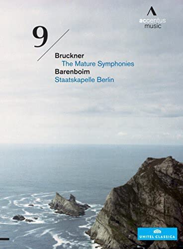 DVD cover for Bruckner's Symphony No. 9, featuring coastal landscape.