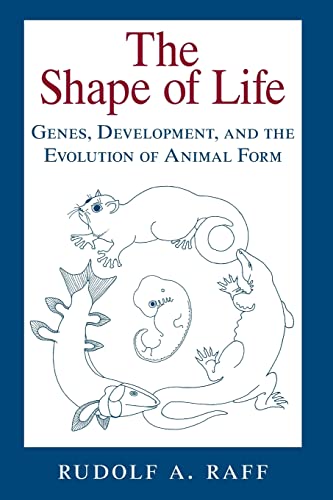 The Shape of Life: Genes