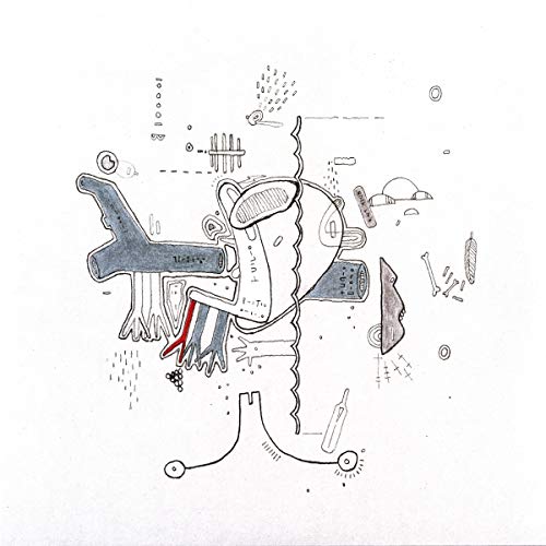 Abstract line drawing on white background featuring organic shapes, textures, and small symbols.