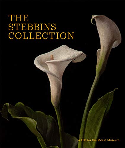 The Stebbins Collection : A Gift for the Morse Museum