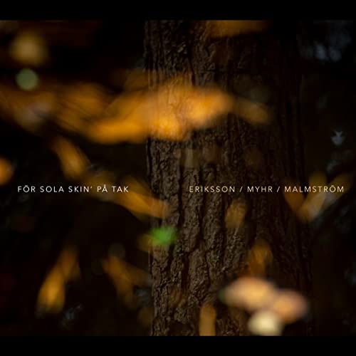 CD cover with blurred tree bark and golden autumn leaves.