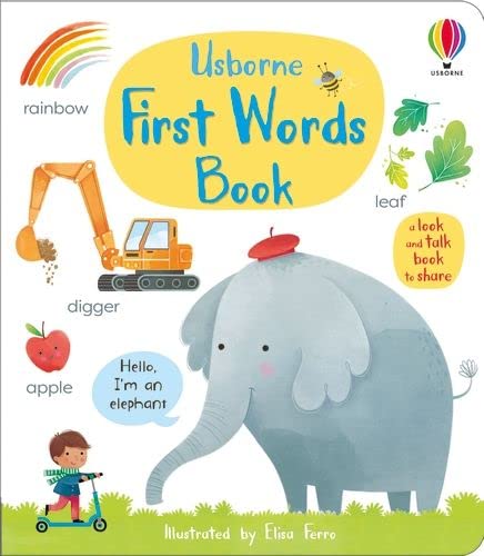 FIRST WORDS BOOK (First Concepts)