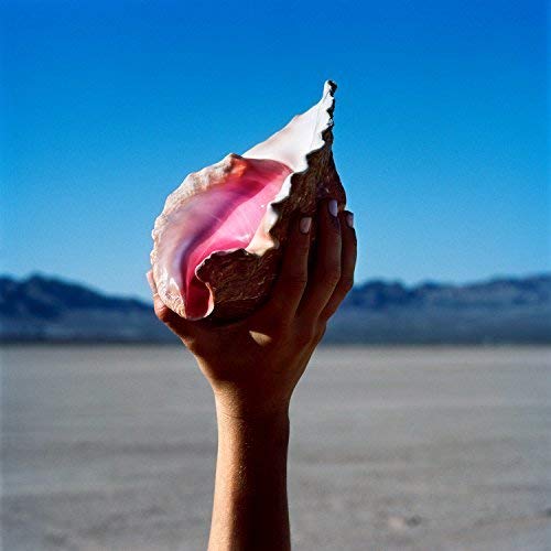 A hand holds a pink conch shell against a desert landscape and blue sky.