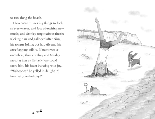 Sausage Dog Surfer : Book 2