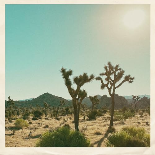 Desert landscape with Joshua Trees under a bright, hazy sun.