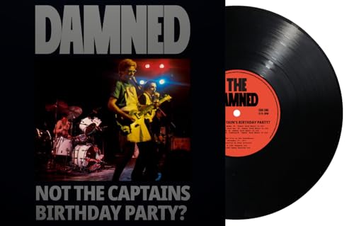 The Damned vinyl record: album cover with band photo and black disc.