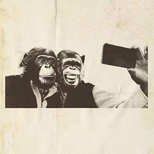 Two monkeys in suits taking a selfie, textured background.