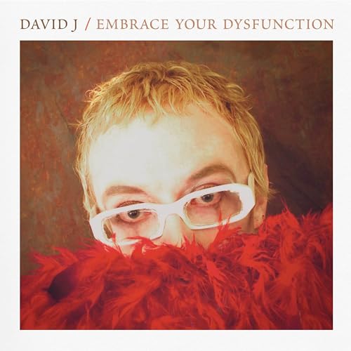 Album cover for "Embrace Your Dysfunction" by DAVID J, featuring a portrait.