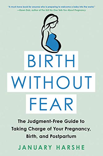 Birth Without Fear: The Judgment-Free Guide to Taking Charge of Your Pregnancy, Birth, and Postpartum (Little Brown Young Readers Us)